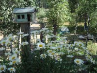 Garden Charm