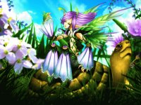 Fadas, duendes e ninfas.