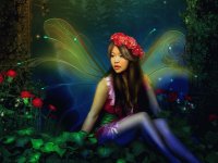 Fadas, duendes e ninfas.
