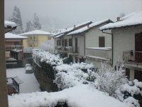 neve