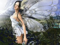 Fadas, duendes e ninfas.