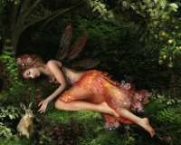 Fadas, duendes e ninfas.
