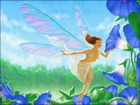 Fadas, duendes e ninfas.