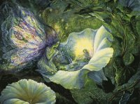 Fadas, duendes e ninfas.