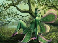 Fadas, duendes e ninfas.