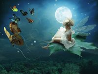 Fadas, duendes e ninfas.