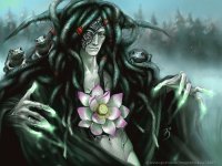 Fadas, bruxas e ninfas.