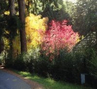 En Bariloche. Río Negro. Argentina