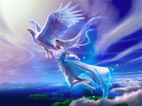 Fadas, bruxas e ninfas.