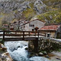 Cabrales-Excelentes quesos