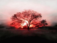 Atardecer
