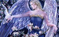 Fadas, duendes e ninfas.