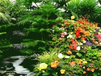 Las flores y el rio