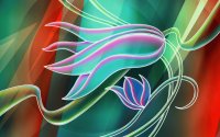 tulipanes