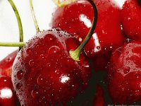 cherries