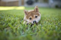 muy tierno