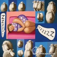 zzzzz