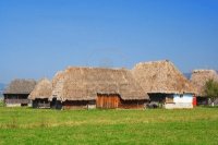 casas techo de paja