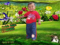 View Album
