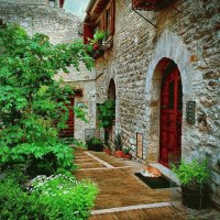 Asis-Italia