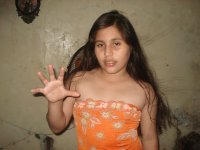 Arenita