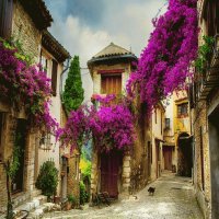 La Provenza-Francia
