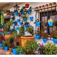 Patio típico andaluz-Mijas(Malaga)