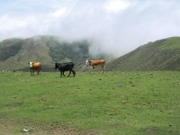las pampitas-catamarca-argentina