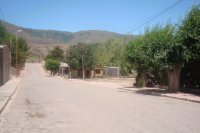 buena vista