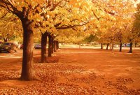 Otoño en Necochea. Buenos Aires. Argentina