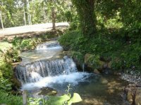 arroyo