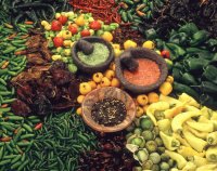 salsas y chiles