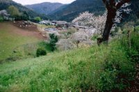 paisaje urbano