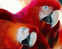 Animales en peligro de extinción