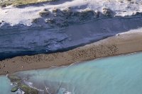 Lobería en la Península de Valdés. Chubut. Argentina