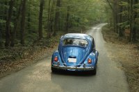 VW Bug