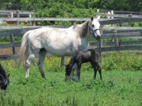 Mother and child