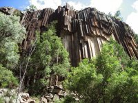 Organ Pipes, Mt Kaputar NP, NSW