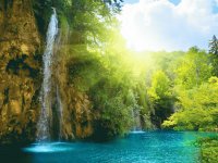 Cascada en el bosque