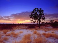 otro desierto