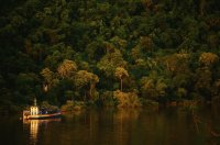 Forrest, Misiones