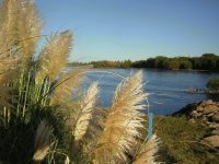 Río Limay. Neuquén. Argentina
