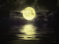 Noche de luna
