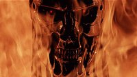 terminator 3