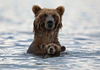 mom#216
