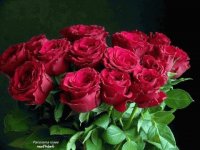 Rosas