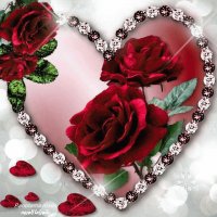 Te amo