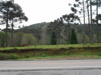 Paisagem na estrada