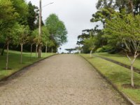 Rua num bairro residencial