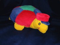 turtle